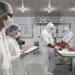 Empresa de carnes em Palmas passa por vistoria para obter selo estadual de comercializa&ccedil;&atilde;o
