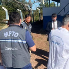Abatedouro em munic&iacute;pio tocantinense tem falhas sanit&aacute;rias graves
