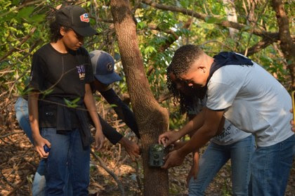 Projeto usa monitoramento audiovisual para unir conservação e sustentabilidade na Ilha do Bananal