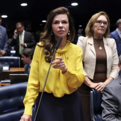 Senadora Professora Dorinha