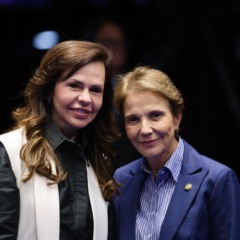 Dorinha defende solu&ccedil;&atilde;o efetiva para d&iacute;vidas rurais em meio &agrave; crise que pressiona o campo