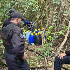 Opera&ccedil;&atilde;o Estoque Oculto realizou incurs&otilde;es e varreduras em &aacute;reas de mata no munic&iacute;pio de Pedro Afonso - Foto: Divulga&ccedil;&atilde;o/FICCO/Pol&iacute;cia Federal