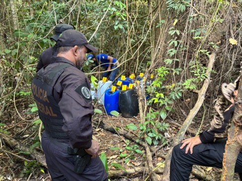 Operação Estoque Oculto realizou incursões e varreduras em áreas de mata no município de Pedro Afonso - Foto: Divulgação/FICCO/Polícia Federal