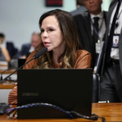 Ap&oacute;s interdi&ccedil;&atilde;o, Dorinha aciona ministro dos Transportes por solu&ccedil;&atilde;o urgente para ponte de Pedro Afonso
