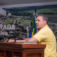 Vanderlei Luxemburgo