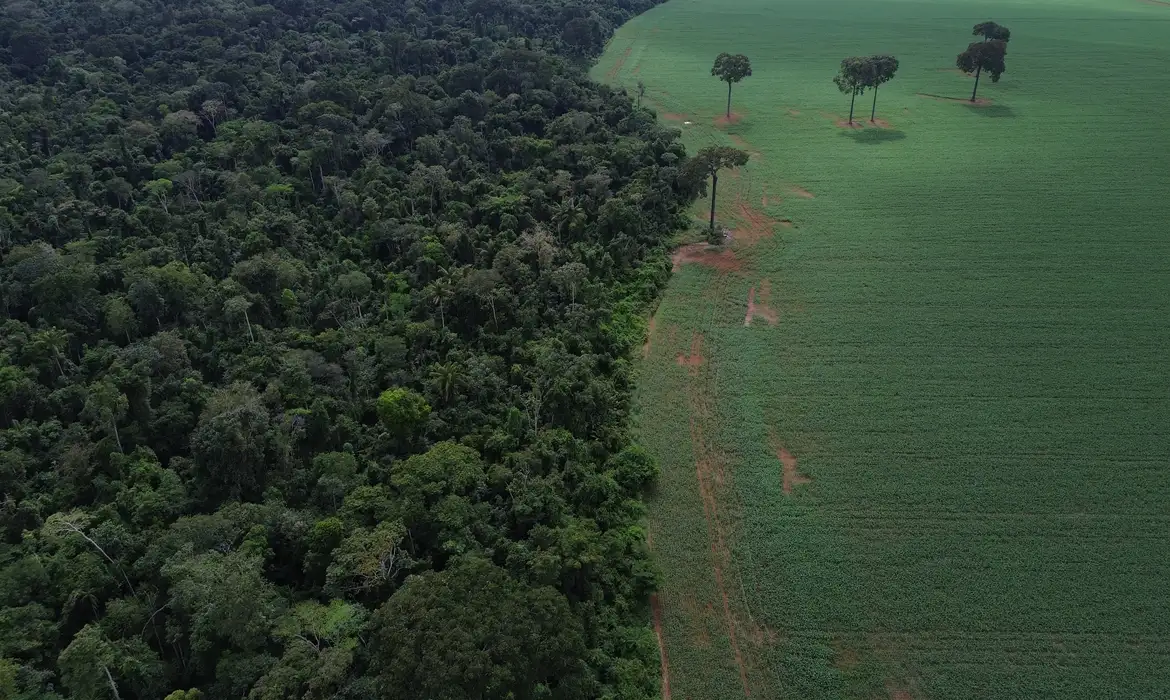 

Foto: Fernando Frazão/Agência Brasil