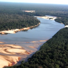 Ranking demostra a efetividade da pol&iacute;tica ambiental desenvolvida pelo Tocantins voltadas &agrave; prote&ccedil;&atilde;o dos recursos naturais - Foto: Fernando Alves/Governo do Tocantins