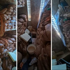 Sacos com areia retirada da escava&ccedil;&atilde;o estavam dentro da cela &mdash; Foto: Alta Tens&atilde;o TO