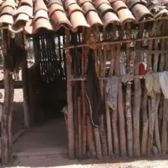 Foto: divulga&ccedil;&atilde;o/Governo do Tocantins