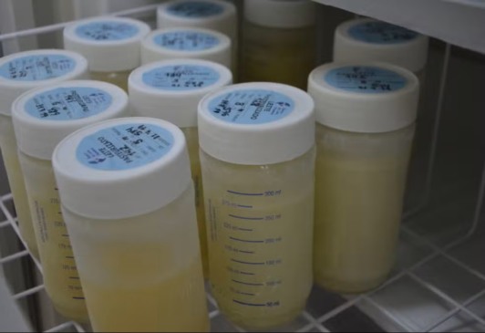 Alimento ajuda a reduzir infecções em bebês internados em UTIs do TO — Foto: Divulgação/SES-TO