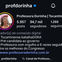 Perfil da senadora Dorinha volta a sofrer manipulação artificial de seguidores nas redes sociais