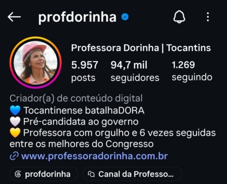 Perfil da senadora Dorinha volta a sofrer manipulação artificial de seguidores nas redes sociais