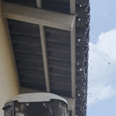 Nem refrescou, mas chamou aten&ccedil;&atilde;o: chuva r&aacute;pida cai em Palmas e surpreende moradores