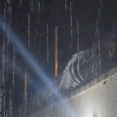 Chuva durante a madrugada confirma previs&atilde;o e surpreende moradores de Palmas