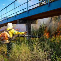 Governo do Tocantins intensifica a&ccedil;&otilde;es de preven&ccedil;&atilde;o, monitoramento e combate aos inc&ecirc;ndios florestais durante o per&iacute;odo de estiagem em todas as regi&otilde;es do estado - Vin&iacute;cius Ven&acirc;ncio/Governo do Tocantins