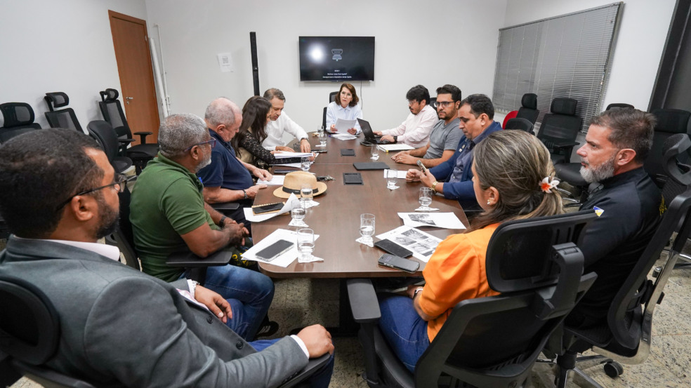 Audiência foi conduzida pela promotora de Justiça Kátia Chaves Gallieta, titular da 23ª Promotoria de Justiça da Capital - Foto: Marcelo de Deus MPTO Audiência foi conduzida pela promotora de Justiça Kátia Chaves Gallieta, titular da 23ª Promotoria de Justiça da Capital - Foto: Marcelo de Deus MPTO