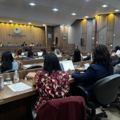 Conselho Pleno da OABTO aprova propositura de a&ccedil;&atilde;o contra Lei Estadual de afirma&ccedil;&atilde;o de g&ecirc;nero