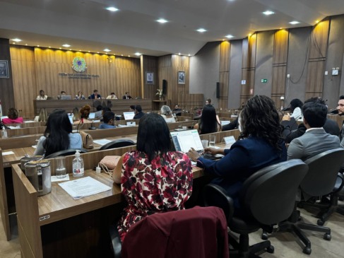 Conselho Pleno da OABTO aprova propositura de ação contra Lei Estadual de afirmação de gênero