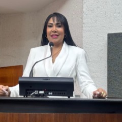 Deputada Janad Valcari solicita perfura&ccedil;&atilde;o de po&ccedil;os artesiano para fam&iacute;lias de Nova Olinda
