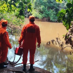 Desaparecimento de idoso chega ao terceiro dia e Bombeiros ampliam buscas na regi&atilde;o do Rio Lontra
