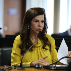 Senadora Professora Dorinha