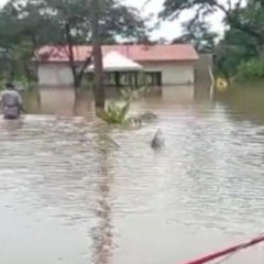 Dorinha assegura R$ 4,8 milh&otilde;es para obra de drenagem e pavimenta&ccedil;&atilde;o em &aacute;rea afetada por alagamentos em Paran&atilde;