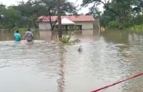 Dorinha assegura R$ 4,8 milhões para obra de drenagem e pavimentação em área afetada por alagamentos em Paranã