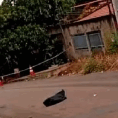 Jovem de 19 anos &eacute; encontrada morta com marcas de tiros em Palmas &mdash; Foto: Jornal Sou de Palmas
