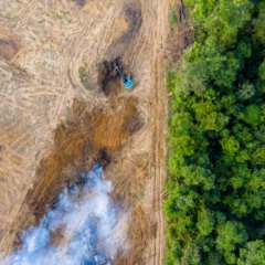 Protegendo a Amaz&ocirc;nia: como as imagens de sat&eacute;lite ajudam a monitorar o desmatamento em tempo real