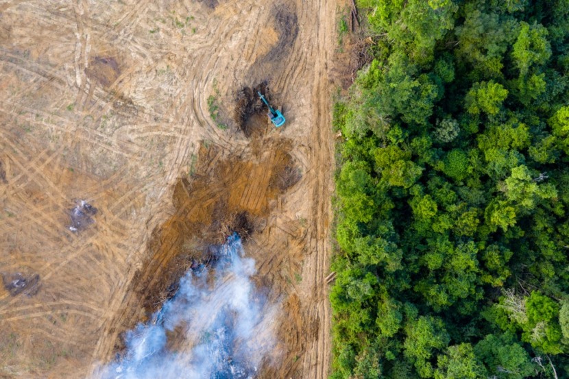 Protegendo a Amazônia: como as imagens de satélite ajudam a monitorar o desmatamento em tempo real