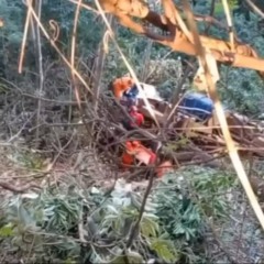 Acidente envolveu tr&ecirc;s pessoas e ve&iacute;culo desceu a ribanceira da pista &mdash; Foto: Reprodu&ccedil;&atilde;o/Taquaru&ccedil;u Not&iacute;cias