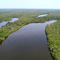 Governo do Tocantins institui Programa de Convers&atilde;o de Multas Ambientais em bens e servi&ccedil;os para recupera&ccedil;&atilde;o e conserva&ccedil;&atilde;o ambiental - Foto: Fernando Alves/Governo do Tocantins