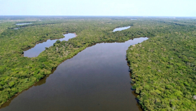 Governo do Tocantins institui Programa de Conversão de Multas Ambientais em bens e serviços para recuperação e conservação ambiental - Foto: Fernando Alves/Governo do Tocantins