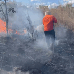 Inc&ecirc;ndio em fazenda no distrito de Buritirana, em Palmas - Foto: Divulga&ccedil;&atilde;o
