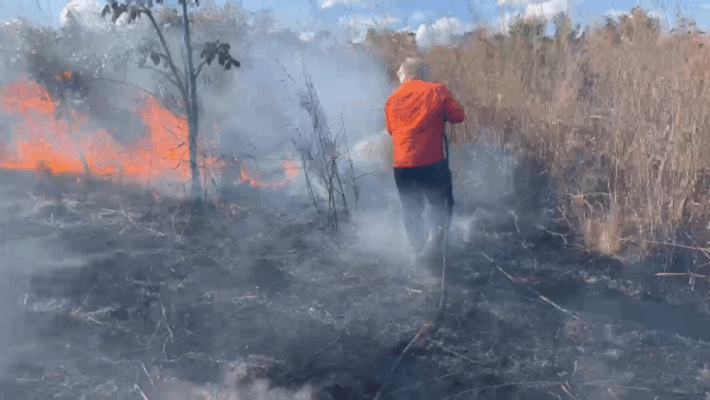 Incêndio em fazenda no distrito de Buritirana, em Palmas - Foto: Divulgação
