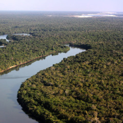 Governo do Tocantins sancionou, nessa quinta-feira, 2, a Lei n&ordm; 5.062, que atualiza as normas do licenciamento ambiental no estado ( Cr&eacute;dito foto: Fernando Alves/Governo do Tocantins