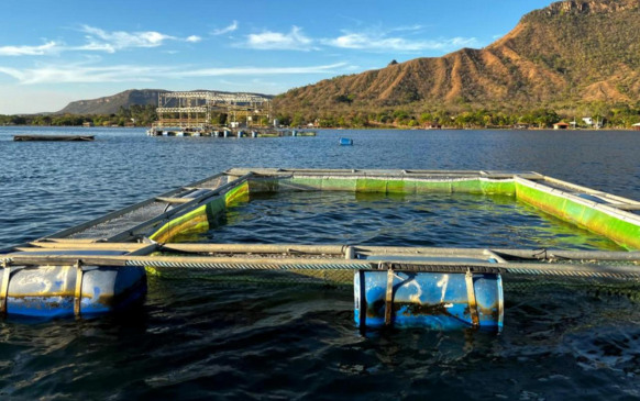 Lei institui o Selo Tocantinense de Sustentabilidade do Pescado, destinado a reconhecer produtos que atendam a critérios de qualidade e sustentabilidade ambiental, sanitária, social e tecnológica - Foto: Nielcem Fernandes/Governo do Tocantins