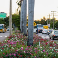 Palmas est&aacute; entre as cidades que mais geram empregos em log&iacute;stica, inova&ccedil;&atilde;o e constru&ccedil;&atilde;o civil no Brasil
