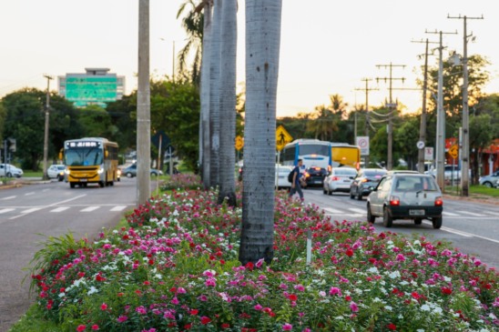 Palmas está entre as cidades que mais geram empregos em logística, inovação e construção civil no Brasil