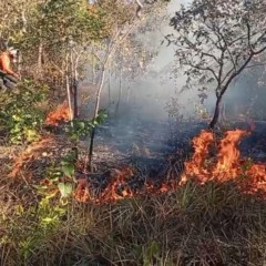 Com 20 inc&ecirc;ndios na semana, Defesa Civil impede que fogo atinja casas em Taquaru&ccedil;u