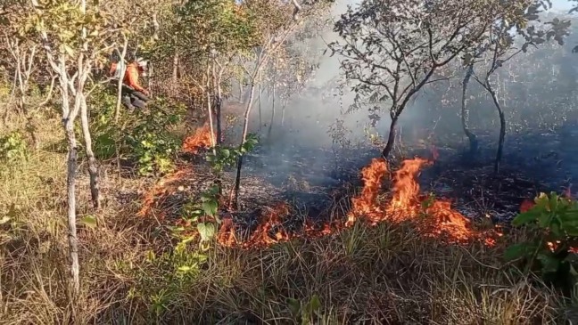 Com 20 incêndios na semana, Defesa Civil impede que fogo atinja casas em Taquaruçu