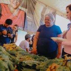 Investimentos de Dorinha na agricultura alcan&ccedil;am R$ 79,4 milh&otilde;es em 248 a&ccedil;&otilde;es no Tocantins