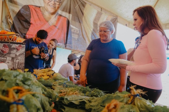 Investimentos de Dorinha na agricultura alcançam R$ 79,4 milhões em 248 ações no Tocantins