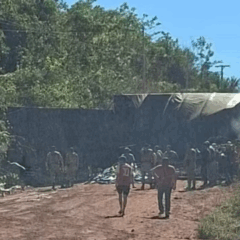 Droga foi apreendida no interior do Tocantins - Foto: Divulga&ccedil;&atilde;o
