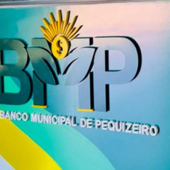 Pequi vira dinheiro: cidade do Tocantins lan&ccedil;a moeda pr&oacute;pria para movimentar com&eacute;rcio