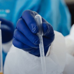 Projeto oferece bolsas de inicia&ccedil;&atilde;o cient&iacute;fica para universit&aacute;rios em Palmas; veja como participar