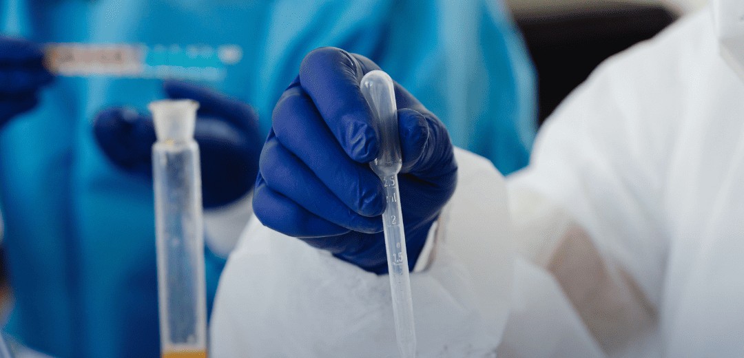 Projeto oferece bolsas de iniciação científica para universitários em Palmas; veja como participar Projeto oferece bolsas de iniciação científica para universitários em Palmas; veja como participar