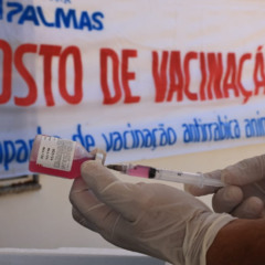 Palmas realiza Dia D de vacina&ccedil;&atilde;o antirr&aacute;bica neste s&aacute;bado; confira locais