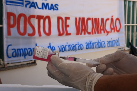 Palmas realiza Dia D de vacinação antirrábica neste sábado; confira locais