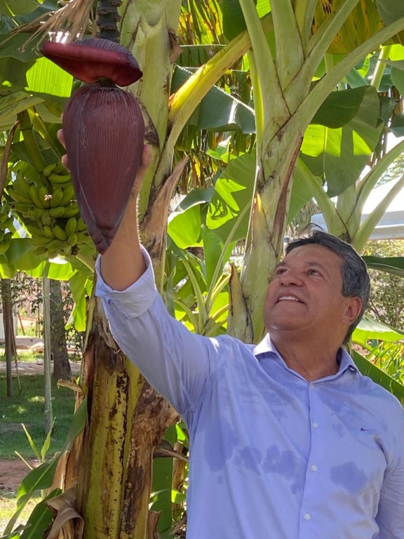 Com entregas ao setor rural, Osires Damaso fortalece pequenos produtores no Tocantins